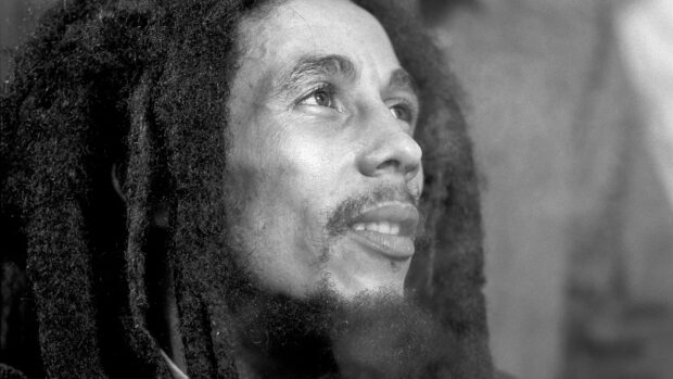 A close up portrait of Bob Marley looking upward with detailed dreadlocks, HD Desktop Wallpaper