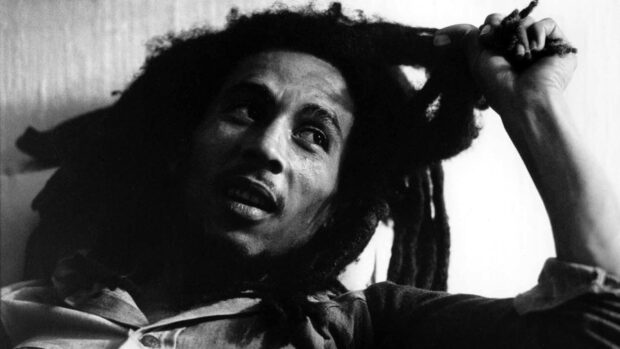 A thoughtful portrait of Bob Marley playing with his dreadlocks, HD Desktop Wallpaper