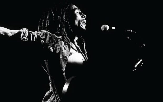 Bob Marley is passionately singing into a microphone during a concert, HD Desktop Wallpaper