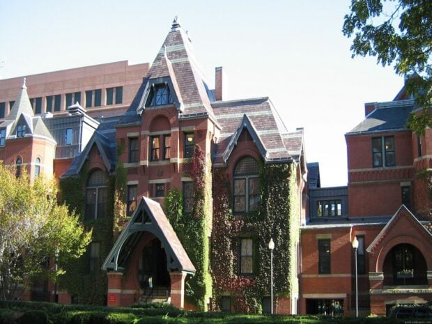 Historic Boston architecture covered in ivy surrounded by trees in autumn sunlight
