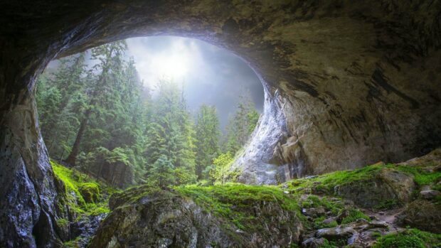 A sunlit forest is visible through a natural cave opening in Bulgaria, HD Desktop Wallpaper