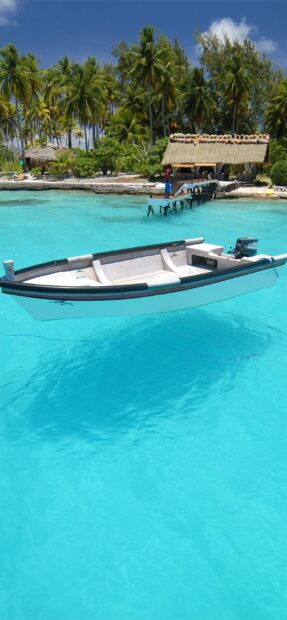A boat floats on calm turquoise waters near a tropical Zanzibar shore lined with palm trees, 2K Mobile Wallpaper