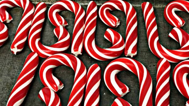 Red and white striped candy cane sweets arranged on a dark surface