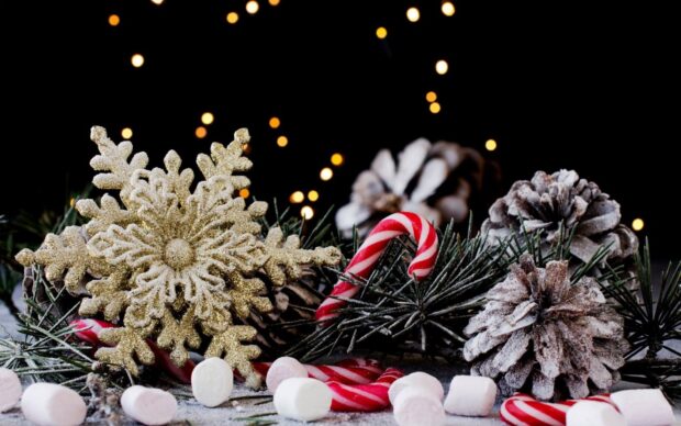 A candy cane nestled among snowy pine cones and a golden snowflake decoration with festive lights in the background