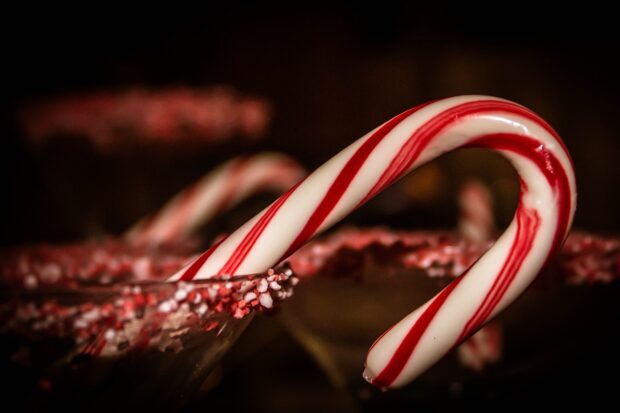 A close up of a candy cane with red and white stripes resting on a glass rimmed with crushed candy cane pieces