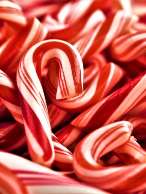 Red and white candy cane close up in bright lighting