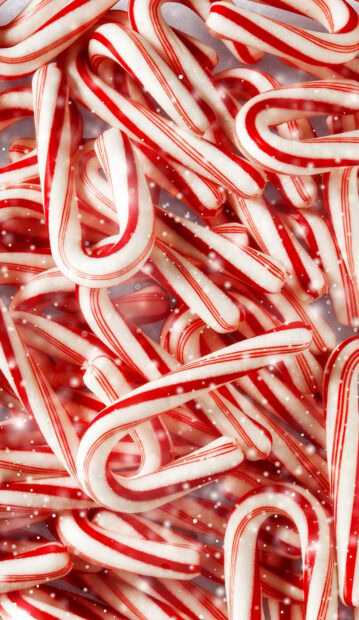 Red and white candy cane sticks close up with a festive feel
