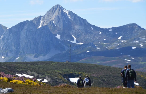 Hikers exploring the Cantabrian Mountains with blooming shrubs and patches of snow