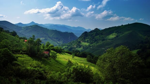 Green hills and valleys in the Cantabrian Mountains with scattered trees and small houses