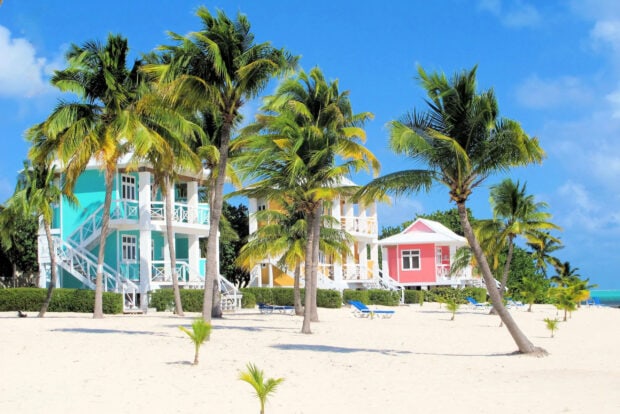 Colorful island houses surrounded by palm trees on a sandy beach in Cayman Islands