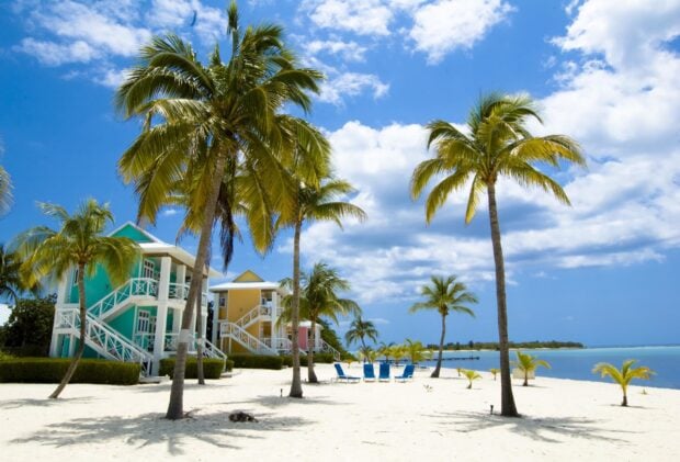 Tropical beach houses and palm trees on a sandy shore in the Cayman Islands