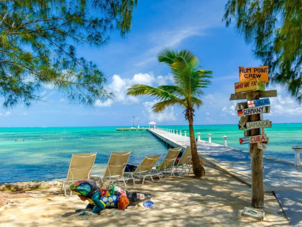 A colorful iguana sculpture on a beach near the Cayman Islands pier and palm trees