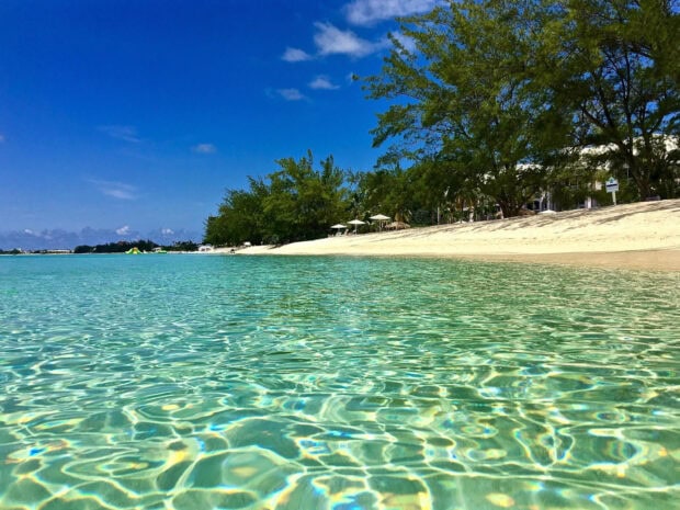 Clear Caribbean water with sandy beach and trees in Cayman Islands