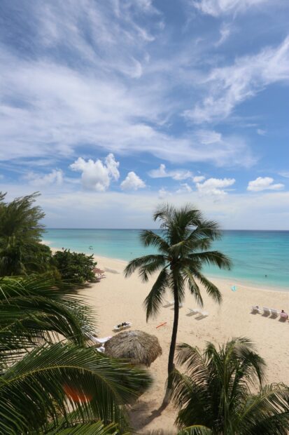 Beautiful Cayman Islands beach with palm trees and clear blue sea under a bright sky