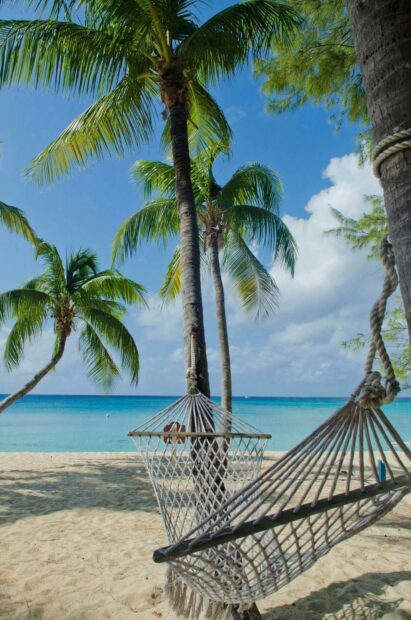 A peaceful view of Cayman Islands with palm trees and a hammock on the sandy beach