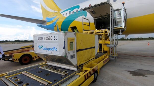 A cargo container with Cebu Pacific Air logo is being loaded onto an aircraft on the tarmac, 2K Desktop Wallpaper