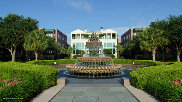 The iconic pineapple fountain surrounded by greenery in Charleston South Carolina