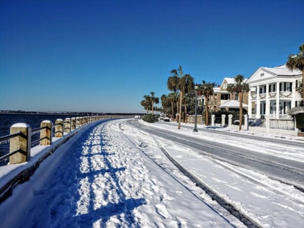 Snow covered walkway and palm trees in Charleston South Carolina