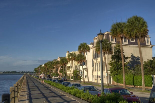 Historic Charleston street lined with palm trees and waterfront walkway