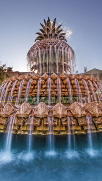 The iconic pineapple fountain in Charleston South Carolina with water cascading in a serene setting