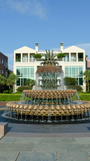 The iconic pineapple fountain surrounded by greenery in Charleston South Carolina