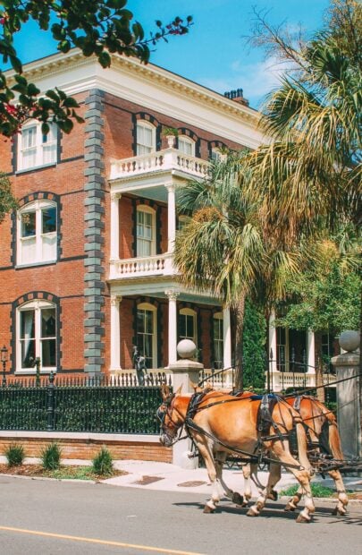 Historic Charleston facade with horses pulling a carriage down the street in South Carolina