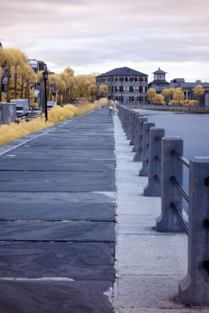 Waterfront walkway in Charleston South Carolina with historic buildings and yellow trees lining the path