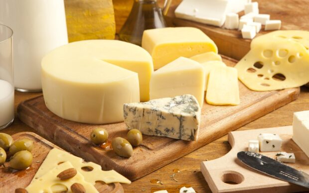 Various cheese types on wooden boards with olives and milk for cheese selection