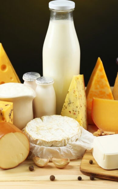 A variety of cheese with a bottle of milk and dairy products on a wooden table