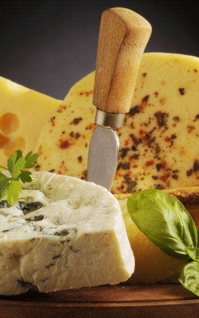 A close up of cheese pieces with herbs and a wooden handled knife on a wooden board