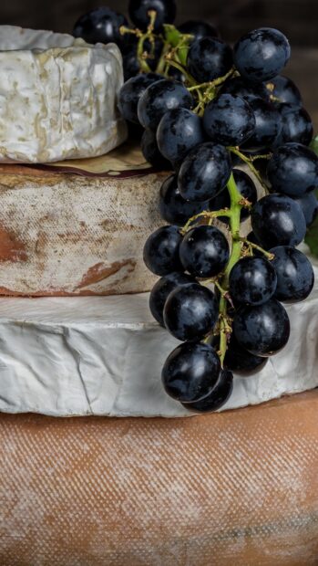A close up view of cheese and grapes with cheese clearly visible