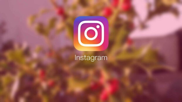 This Instagram wallpaper displays the iconic logo over a blurred floral backdrop, HD Desktop Wallpaper