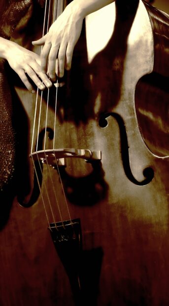 A close up view of the hands playing a double bass in sepia tones, 2K Mobile Wallpaper