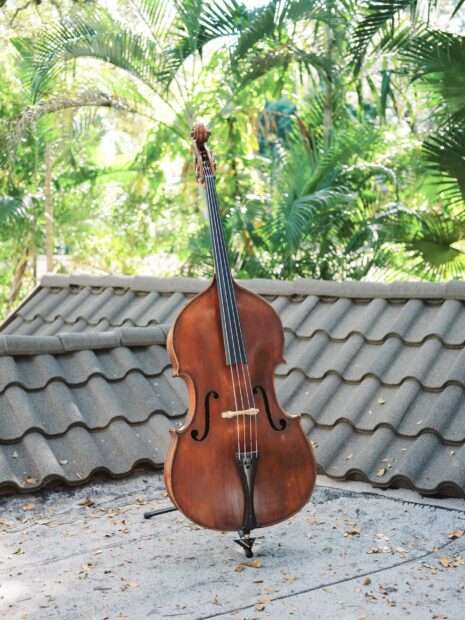 A classic double bass is standing on a rooftop with green palm trees in the background, 2K Mobile Wallpaper