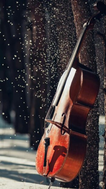 Double bass stands outside with snow falling around it in winter, HD Phone Wallpaper