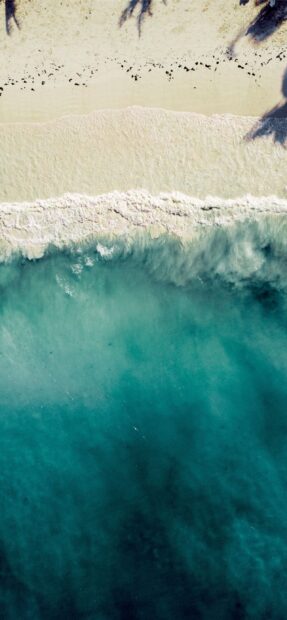 The clear turquoise waves gently meet the sandy shore in Zanzibar, 2K Phone Wallpaper