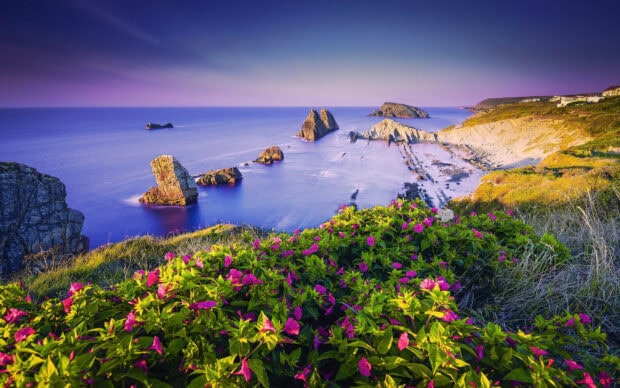 A scenic view of coastal cliffs with purple flowers overlooking the ocean in Spain, 2K Desktop Wallpaper