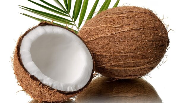 Fresh coconut with fibrous shell and white edible part on reflective surface