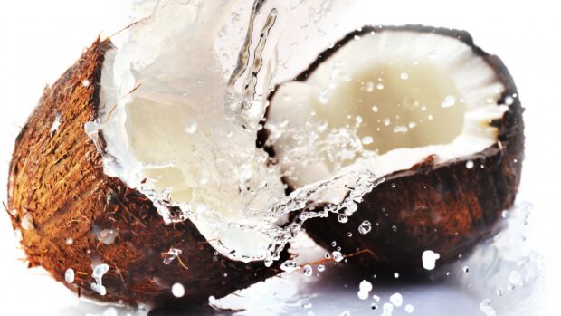 Fresh coconut with water splash captured in high detail on a white background