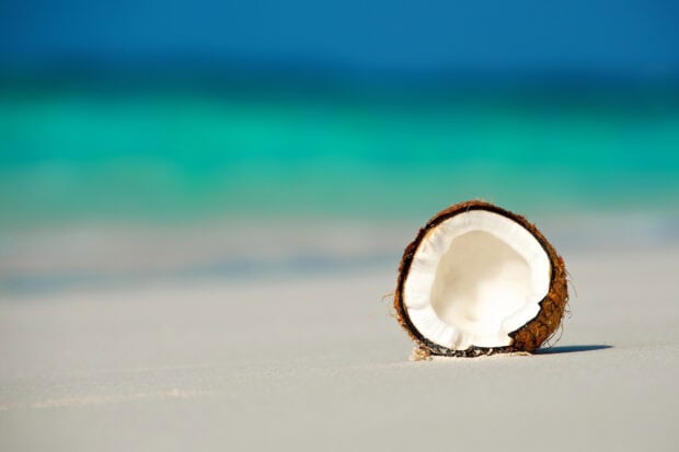 A half coconut resting on white sand near turquoise ocean water