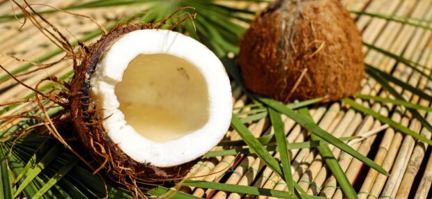 Close up of fresh coconut with shell on natural leaves and bamboo mat
