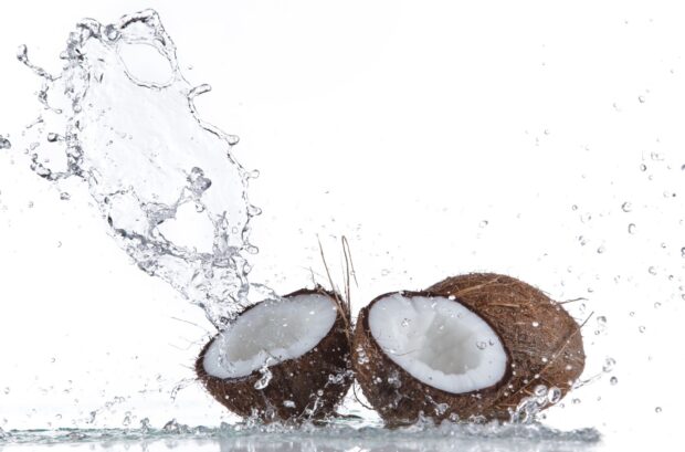 Two coconut halves with splashing water droplets captured in high detail