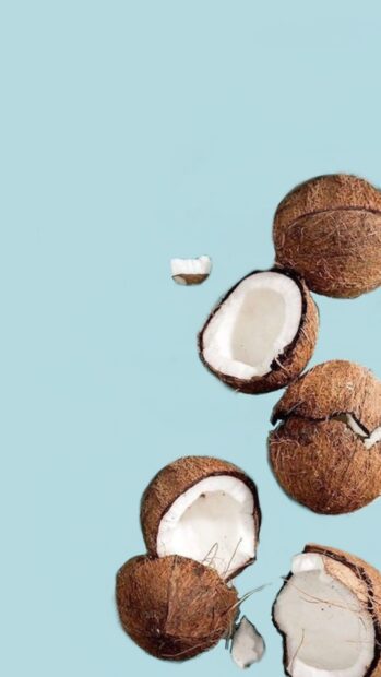 Fresh coconut shells with white meat on a light blue background