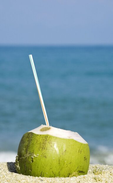 Fresh coconut with a straw on sandy beach near ocean water