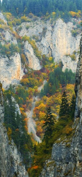 A vibrant autumn forest with colorful trees surrounded by rocky cliffs in Bulgaria, 2K Phone Wallpaper