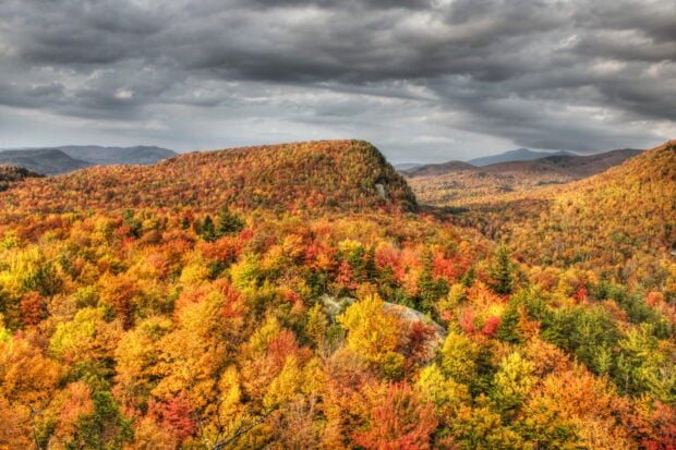 The Vermont autumn forest shows vibrant colors under a cloudy sky, HD Desktop Wallpaper