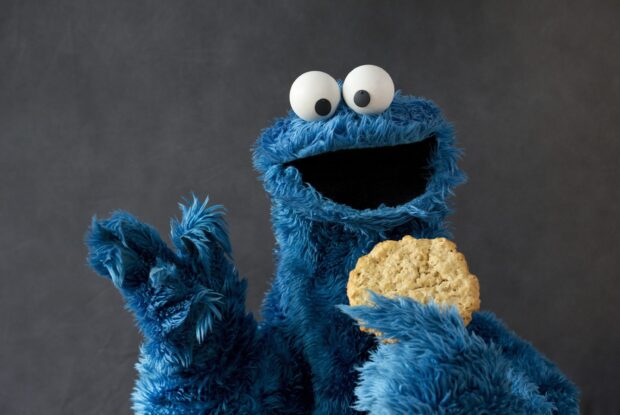 Cookie Monster holding a cookie and smiling on a gray background, 2K Desktop Wallpaper