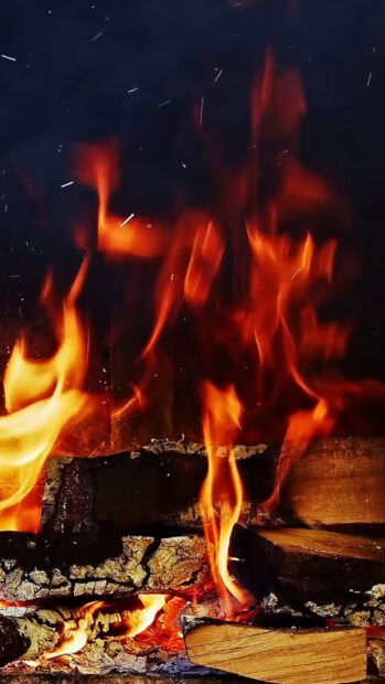A close up view of firewood burning brightly with vivid orange flames, 2K Phone Wallpaper