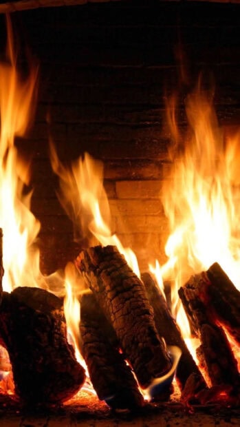 A close up of burning wood logs with bright flames in the fireplace, HD Mobile Wallpaper