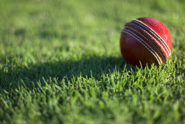 Red cricket ball resting on green grass in a cricket field